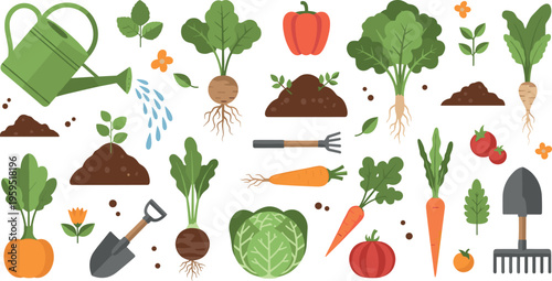 Organic Gardening and Vegetable Harvest Vector Set with Watering Can, Carrot, Cabbage, Beetroot and Farm Tools for Plant Growth and Agriculture Design
