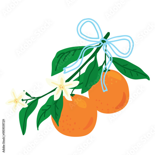Blooming Mediterranean Orange Tree Branch with Green Leaves and Blue Ribbon Bow for Organic Farm Branding Design Isolated on Transparent Background.