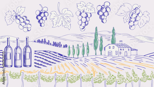 Serene vineyard landscape with grapes and wine bottles in flat vector style