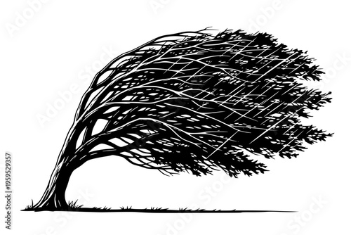 Bending Tree in Storm High Wind Resilience Nature Power Weather Disaster Black Vector Silhouette