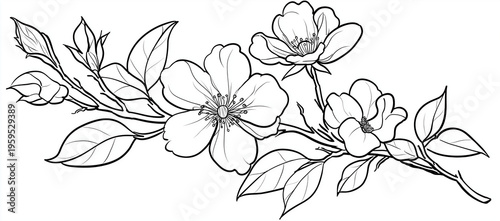 Floral corner line art background vector illustration on a white background