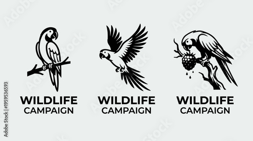 Three parrot campaign logos in vintage style, silhouettes on parchment background, showing perched, flying, and feeding poses with conservation theme.