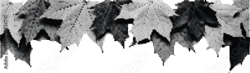 Abstract grunge texture of black ink leaves halftone dots on a transparent background, distressed graphic design element