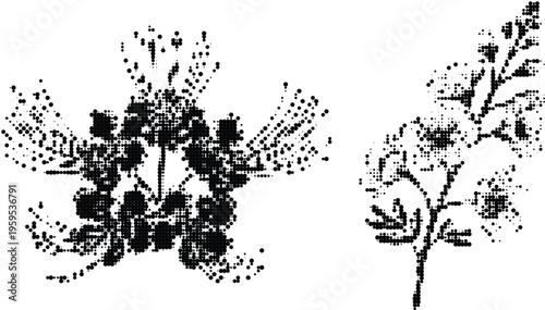 Two distinct black halftone dot art floral motifs, one dense and complex, other a delicate branch, abstract nature elements for creative designs