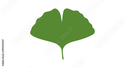 Green ginkgo leaf simple flat icon illustration