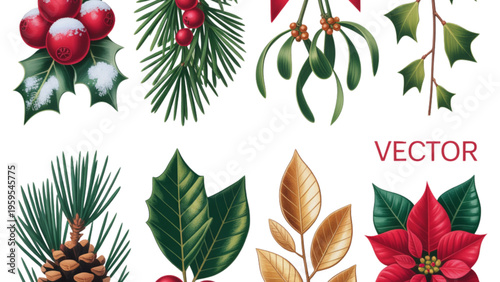 A collection of traditional christmas decorative foliage including holly pine and poinsettia plants Vector