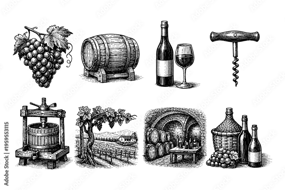 Fototapeta premium Vintage wine making process and elements collection illustration