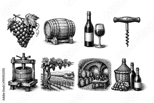 Vintage wine making process and elements collection illustration