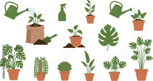 Indoor houseplants care set with watering tools pots soil leaves and tropical plants collection flat vector illustration isolated design