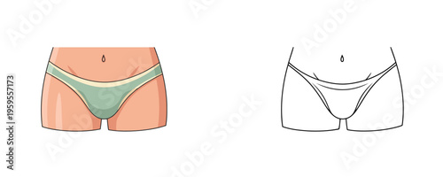 Detailed diagram showing an anatomical female pelvis in peach and green colors next to a black and white outline for education on white background