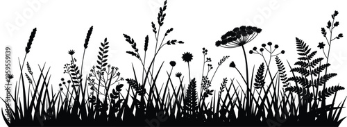 Grass and wild plants silhouette vector border, meadow foliage, natural botanical decorative design