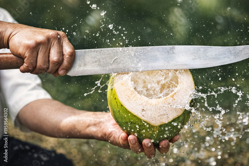 Street vendor slicing open fresh coconut with machete – tropical hydration and refreshment