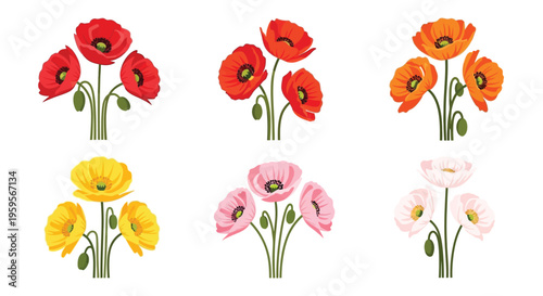 A collection of vibrant poppy flowers in red orange yellow and pink hues