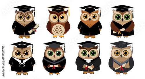 Owls dressed in graduation caps and gowns for university ceremony