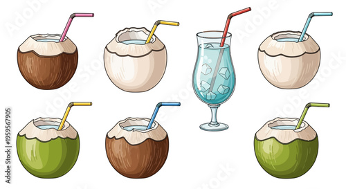 Colorful vector illustration of tropical drinks with straws and coconuts