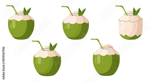 Vector graphic illustration of coconut drinks with straws and leaves