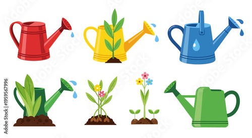 Colorful vector illustration of watering cans and plants with flowers