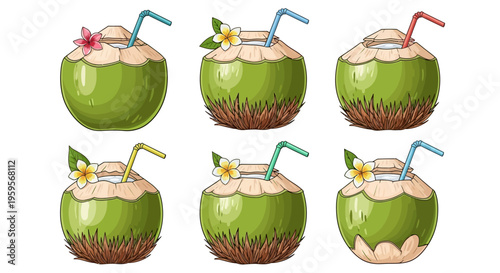 Set of six vector coconut drinks with straws and flowers