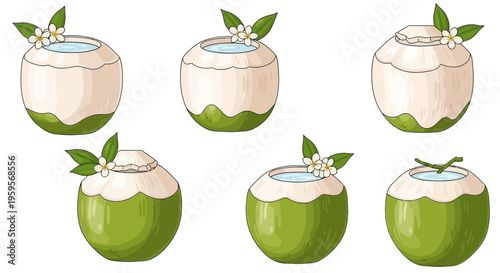 Vector illustration of coconut drinks with tropical flowers and leaves