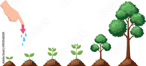 Plant growth stages with watering hand showing seedling development to tree lifecycle gardening vector illustration nature process isolated design concept