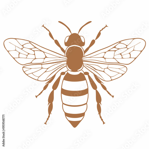 A detailed illustration of a honeybee with striped abdomen and wings