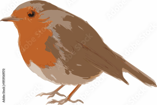 A charming illustration of a european robin perched with a gentle gaze