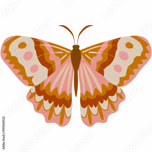 A colorful butterfly illustration with symmetrical wings and delicate patterns