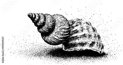 Intricate nautilus shell and ocean wave spiral in black and white stipple design