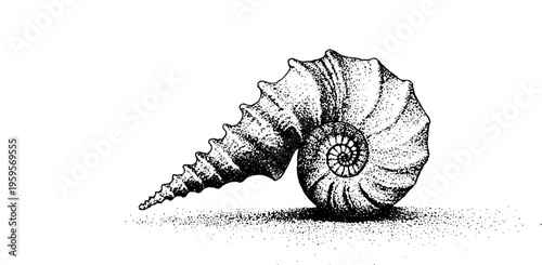 Nautilus shell with sacred geometry in black and white stipple design for art and decor