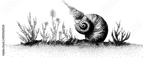 Nautilus shell in underwater plant setting, black and white dotwork art for vintage design