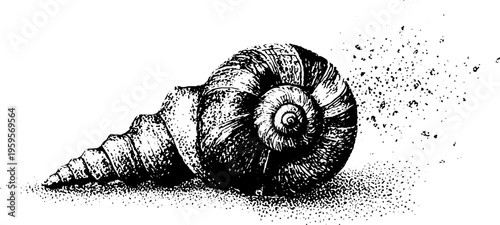 Monochrome nautilus shell with sacred geometry grid in vintage stipple design