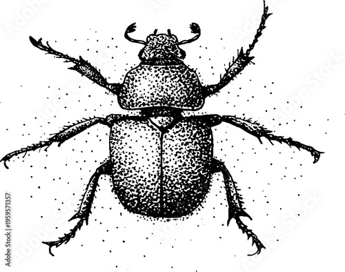Intricate black and white scarab beetle design with stippling effect for art and decor