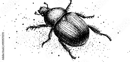 Intricately detailed scarab beetle with ornamental shell in black and white stippling art