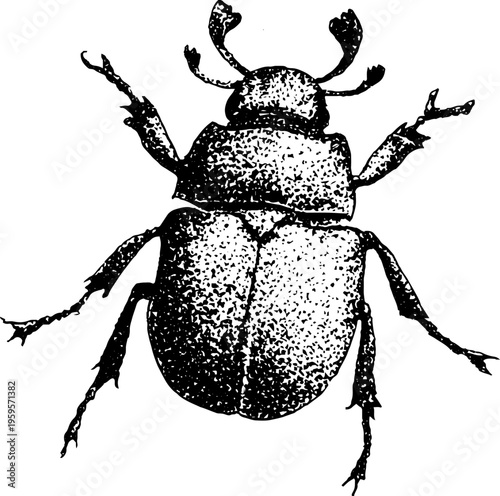 Intricate stippled scarab beetle with ornamental shell in black and white for design