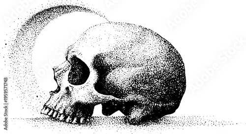 Black and white skull with crescent moon halo in stippling style for artistic design
