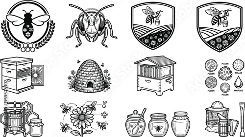 Detailed black and white illustrations showcasing beekeeping essentials honey production and apiary life