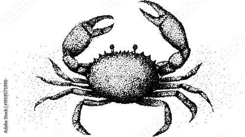 Zodiac cancer crab symbol in black and white stippling for astrological design