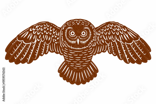 Detailed illustration of a brown owl with wings outstretched facing forward
