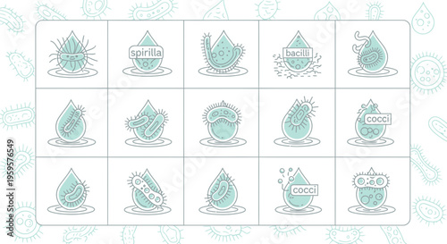 Microorganism Icons: Bacteria Types (Cocci, Bacilli, Spirilla) in Water Drops