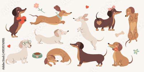 Hand drawn whimsical vector dachshund set in soft pastel palette with beige, brown and blush tones. Cute minimal dogs with playful poses. Perfect for stickers, cards, nursery decor and branding