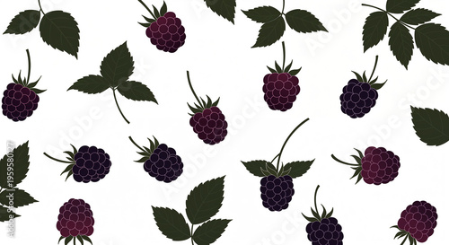 Wallpaper Mural blackberry Torontodigital.ca