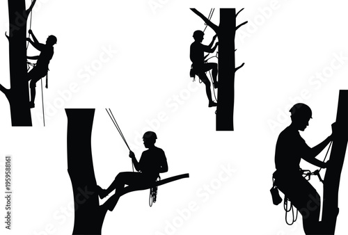 Tree climbing silhouette illustration, arborist icons of workers with helmets, harnesses, and ropes ascending and descending trunks, safety theme, vector art, black isolated bold design
