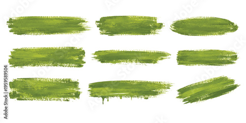 set of green cucumber slices watercolor vector illustration