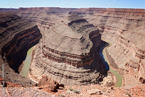 Gooseneck