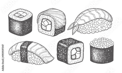 Hand drawn sushi rolls and nigiri assortment white salmon shrimp