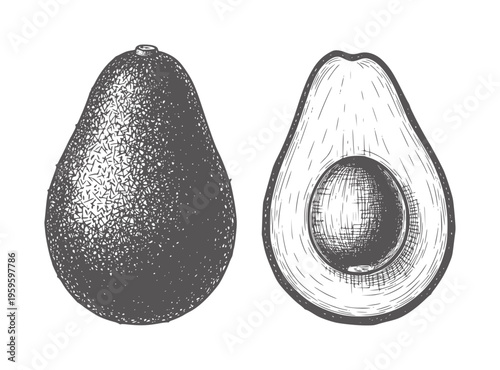 Vintage of a whole avocado and a halved avocado with pit fruit