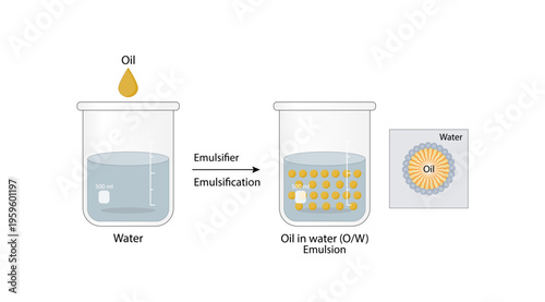 Emulsion, a mixture of two immiscible liquids (oil and water) in beakers, Emulsion oil in water, Immiscible liquids. Emulsification, emulsifier. isolated on white background. Vector illustration.