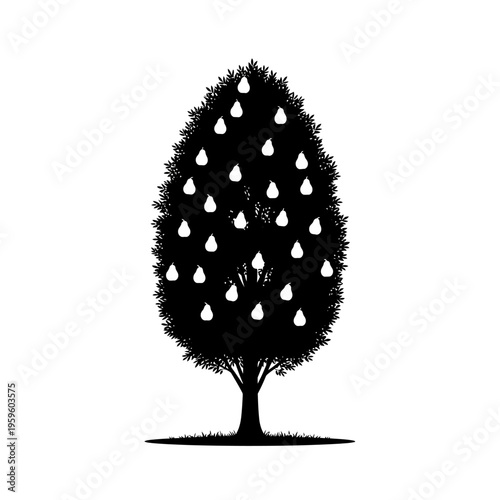 Silhouette of a tree with pear-shaped fruits hanging from its branches.