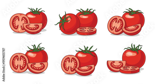 Detailed collection of fresh red tomato illustrations including whole fruits, half-sections, and individual wedges in a clean style.