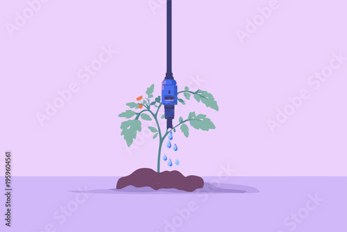 Precision Drip Irrigation Emitter Seedling